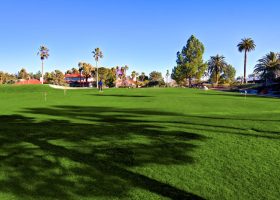 Image description